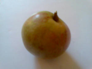 bd63753djpeg