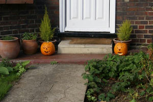 DSC00890.JPG