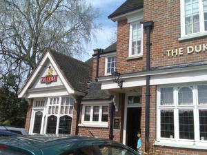 517pub7.jpg