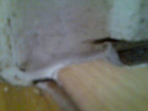 36ea5a54jpeg