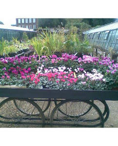 1006kew10.jpg