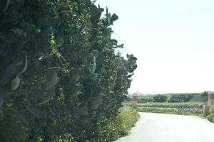 2010032802.jpg