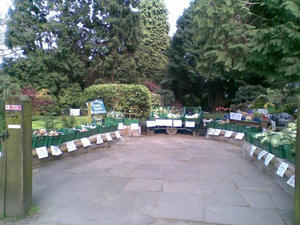 2010050420.jpg