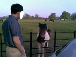 2010050422.jpg