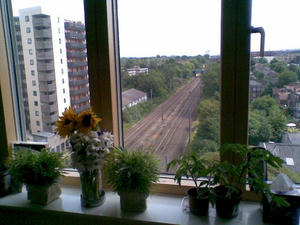 2010071007.jpg