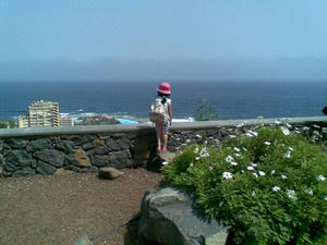 2010072601.jpg