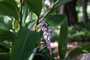 2010072807.jpg