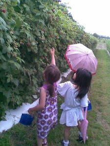 2010073009.jpg