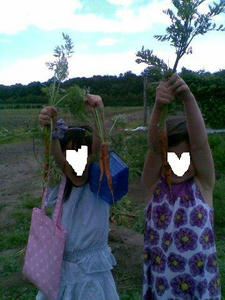 2010073011.jpg