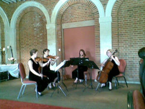 2010080303.jpg
