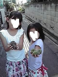 2010090608.jpg