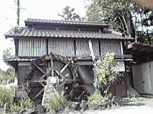 2010092005.jpg