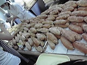 2010102119.jpg