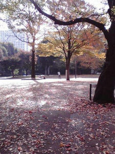 2010112512.jpg