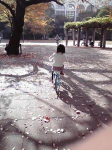 2010112513.jpg