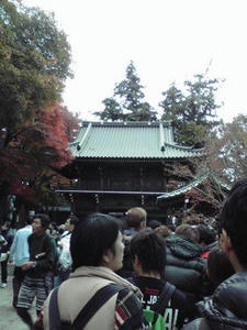 2010112508.jpg