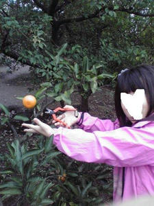 20100240.jpg