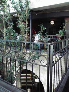 20100215.jpg