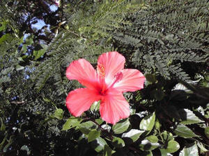 20100236.jpg