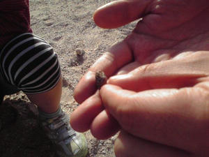 20100223.jpg