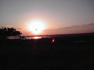 20100225.jpg