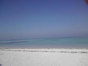 20100237.jpg