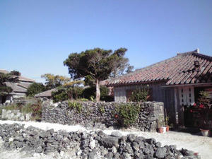 20100232.jpg