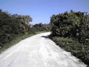20100235.jpg
