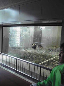 2011041704.jpg