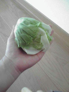 2011052201.jpg