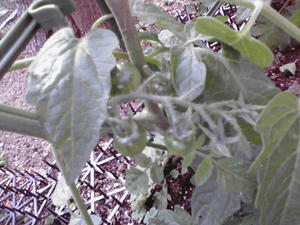 2011052202.jpg