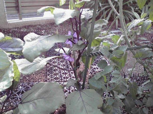 2011052203.jpg