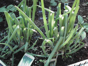 2011052208.jpg