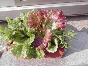 2011052209.jpg