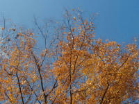 071202b.jpg