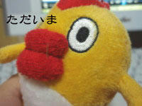 080112c.jpg