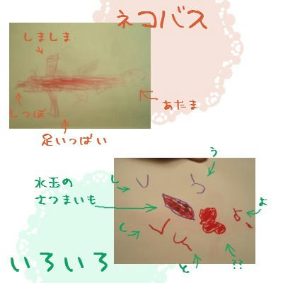 080908b.jpg
