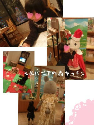 081206b.jpg