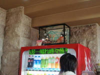 20090307_19.jpg
