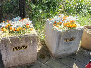 20090329_39.jpg