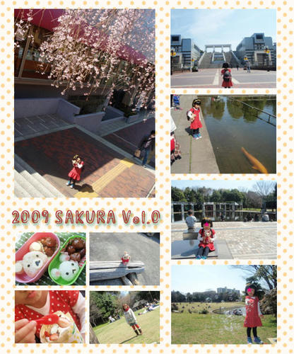 20090329a.jpg