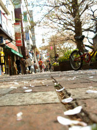 20090412_14.jpg