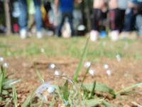 20090419_63.jpg