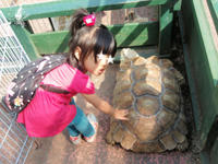 20090419_86.jpg