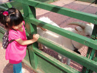 20090419_89.jpg