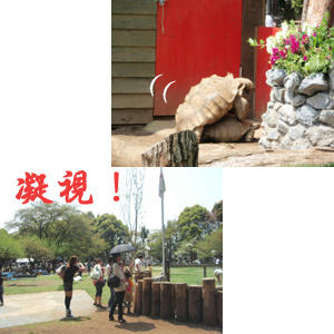 090419b.jpg