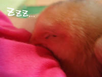 20090419_101.jpg