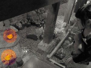 20090425_08.jpg
