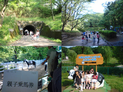 090509e.jpg