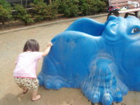 20090523_11.jpg